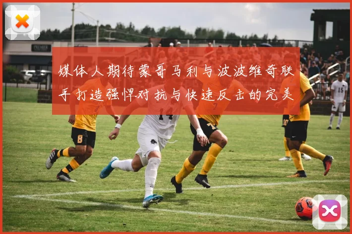 媒体人期待蒙哥马利与波波维奇联手打造强悍对抗与快速反击的完美结合
