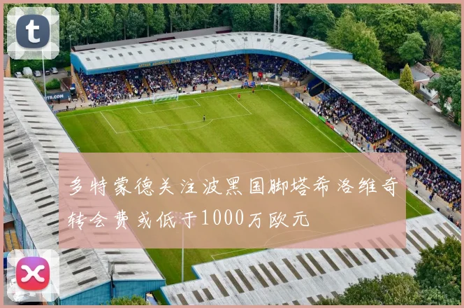 多特蒙德关注波黑国脚塔希洛维奇转会费或低于1000万欧元
